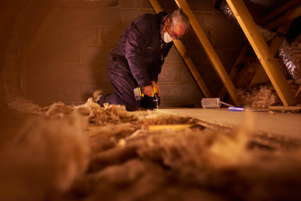Best Cellulose Insulation in Safety Harbor, FL